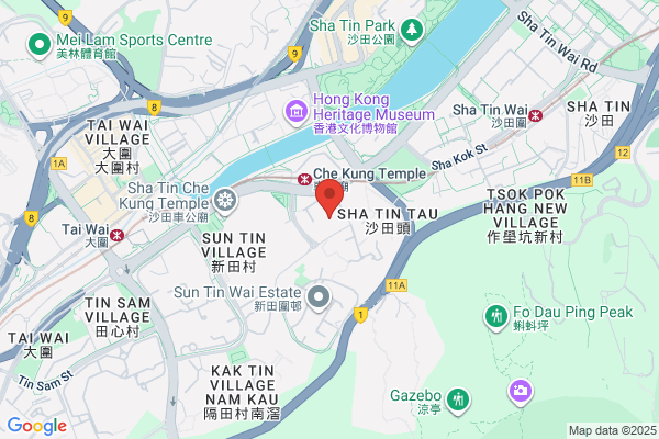 Hang Yuen Ginseng & Medicine Co