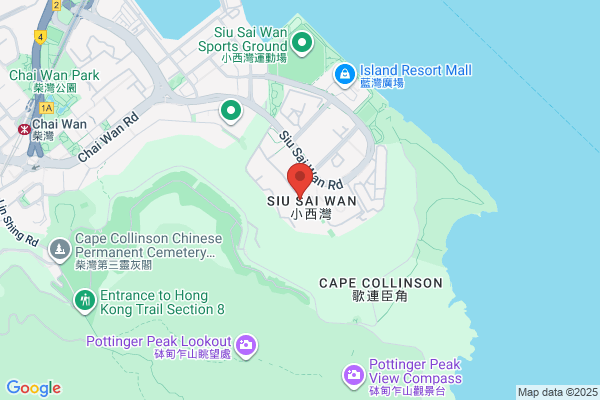 Lee Tze Pui