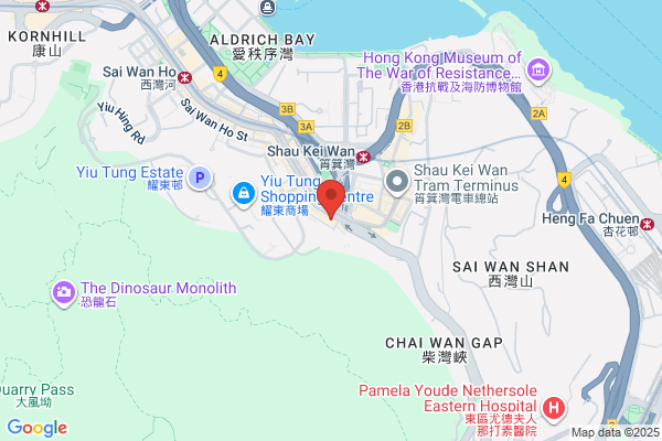 Dick Fong Dry Cleaner Co