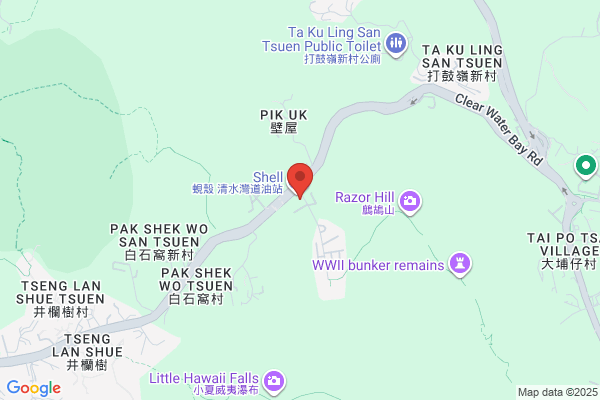 Chan Chin Lai Alan Dr Dental Surg