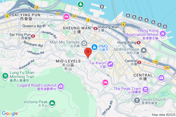 Leung Yuet Ngor Francesca Dr Dental Surg