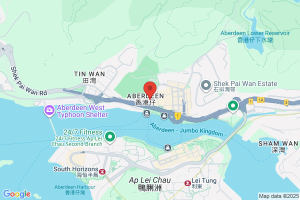 Ng Man Fong Dr Dental Surg