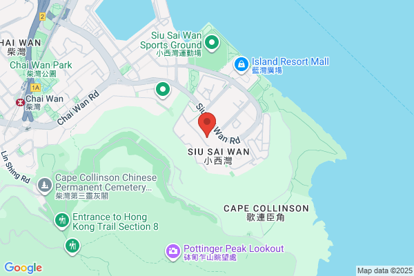 Ng Wai Sang Dental Surg