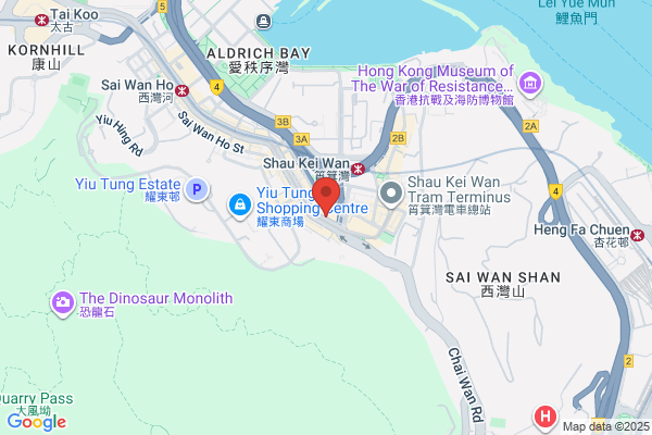 Wong Sau Wing Paul Dr Dental Surg
