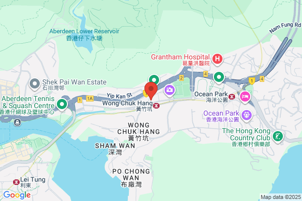 Service Communication Network