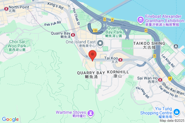 A Shing Engrg Co Ltd