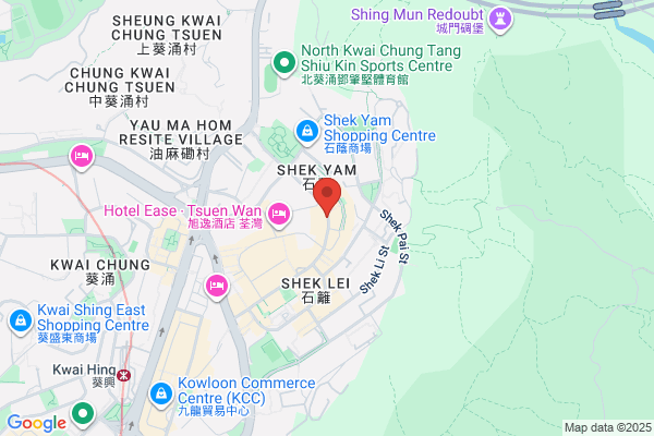 Net Strategic Co Ltd