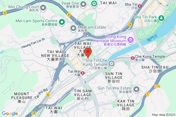 Option By Hair