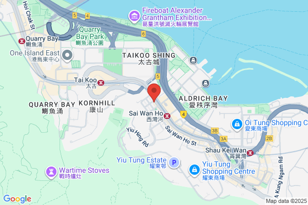 Au-Yeung Shiu Hing Dr