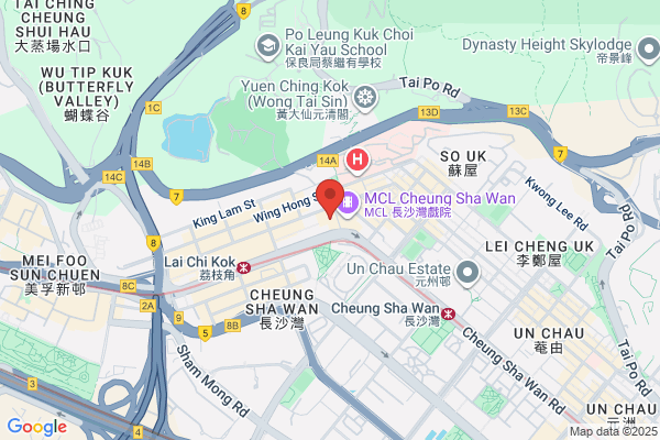 Ching Hing Wine Medicine Co
