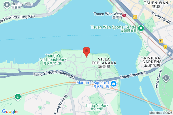 Ching Tong Wing Medicine Co Ltd