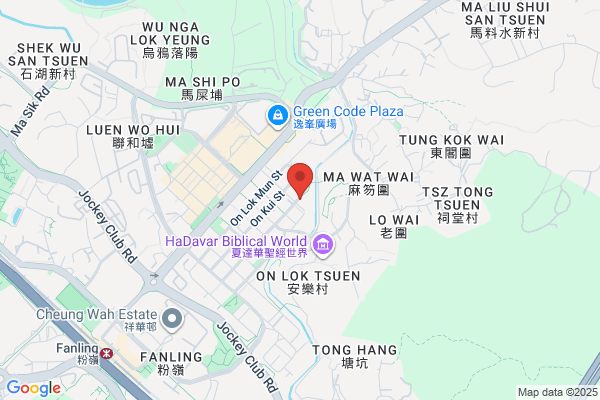 Goldrise (Hk) Ltd