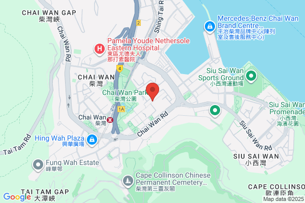Hong Lok Medicine Co