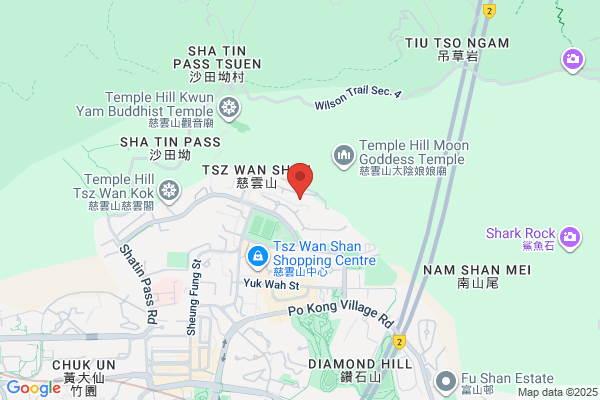 Cheung Fat Electrical