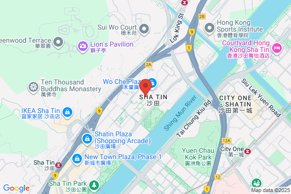 Hk Kidney Foundation Ltd