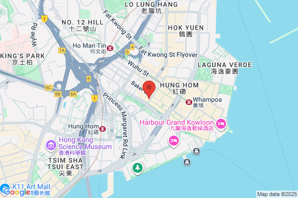 Lui Kong Tai Cheong Loong Hong Shui Woon Tong Assn Ltd