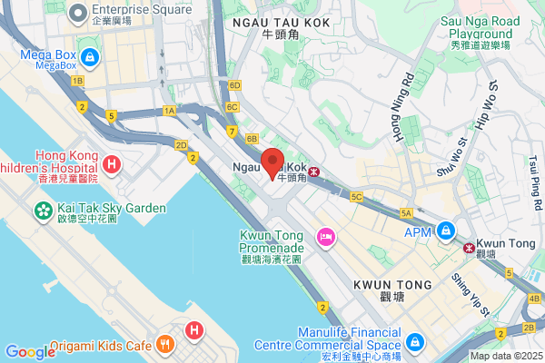 E-Comservice Net Ltd