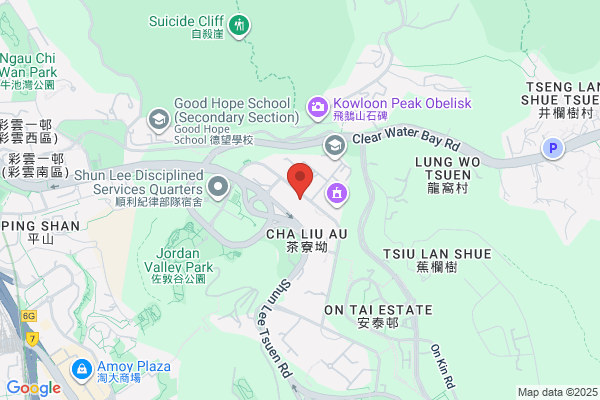 Chiu Wo Hing Provision Co