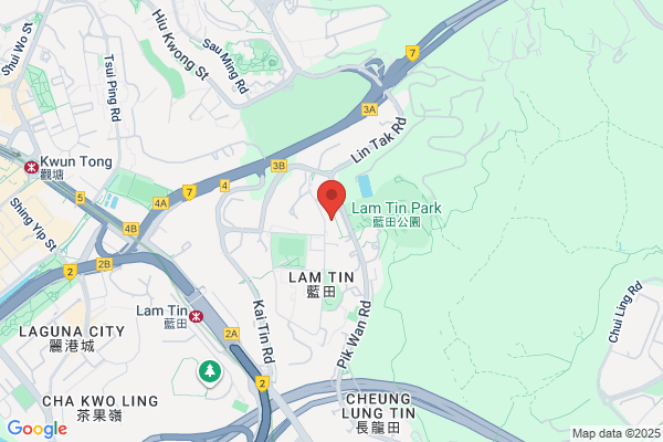 Ham Tin Rest
