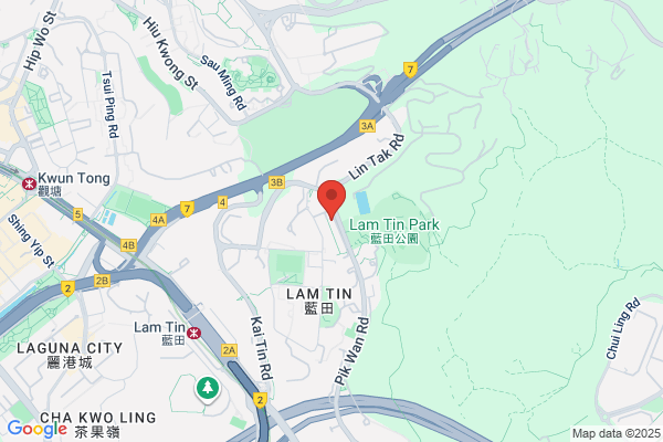 Chan Lei King Dental Surg