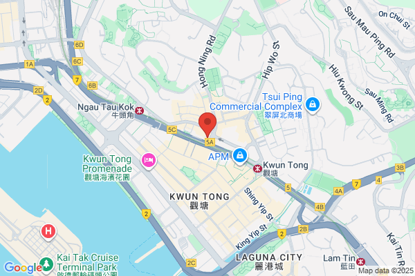 Cheng Tze Ying Rose Dr Dental Surg