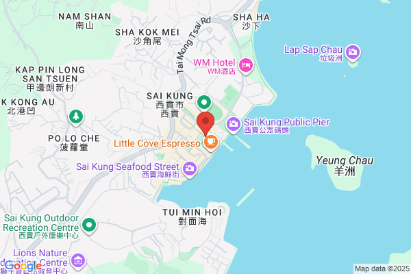 Cheung Heung Wing Dr Dental Surg
