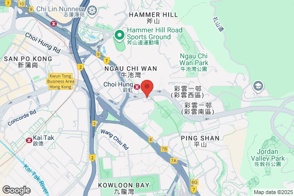 Chien Vivian Dr Dental Surg