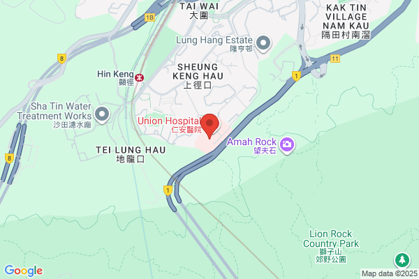 Chik Fu Fai Dr Dental Surg
