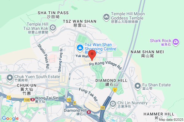 Hui Yee Lung Dr Dental Surg