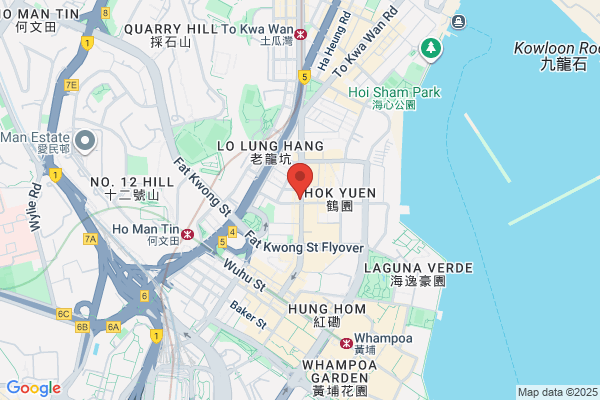 Yeung Fee Tang Dr Dental Surg