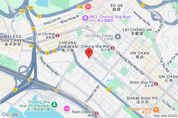 Hing Ngai Co Ltd