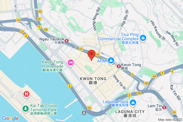 Han Top Enterprises (Hk) Ltd