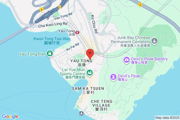 Lam Shun Ching
