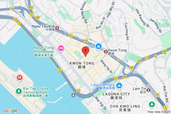 South China Sewing Mach Co