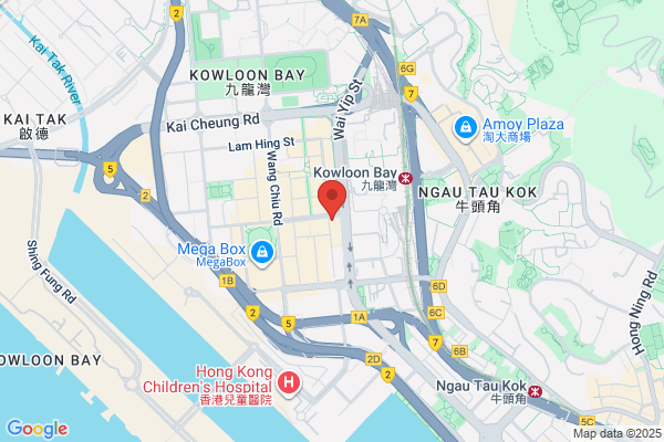Cheong Hing Optical Co Ltd