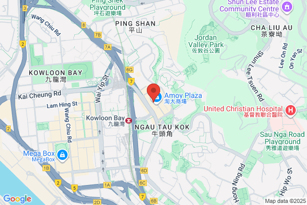 Ching Ching Optical Co