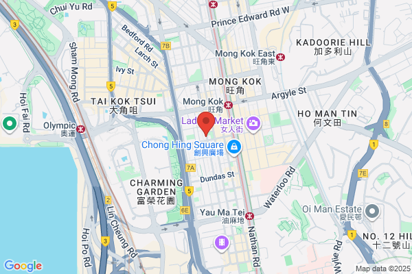 Din Fung Elec Engrg Co