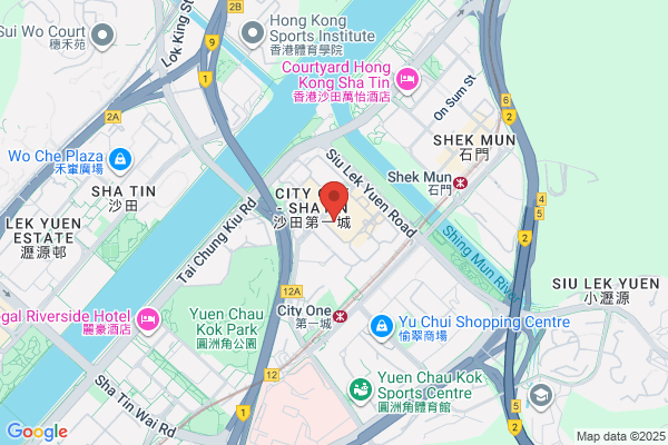 Wah Shing Trading Co