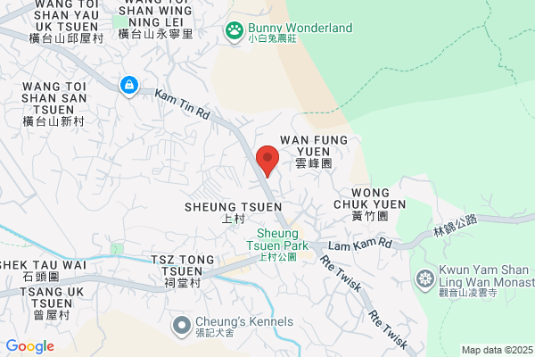 Ajax Pong (Holdings) Ltd