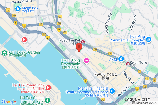 Lee Shing Elec Carving & Mould Fty