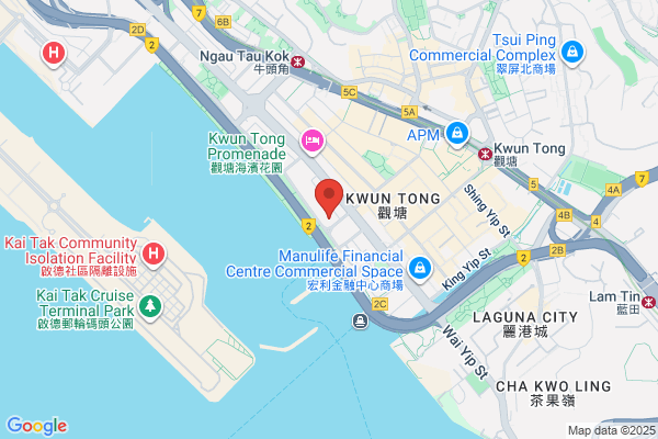 Orchid Electronics Ltd