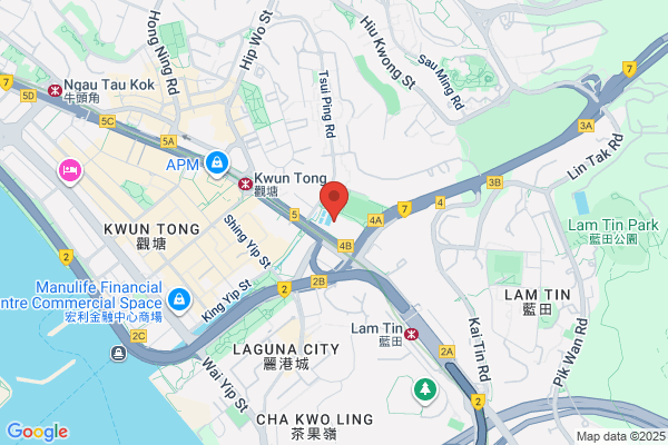 Hk Swimming Academy