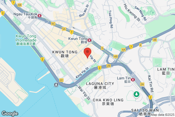 Yik Ki Tai Mould Mfy