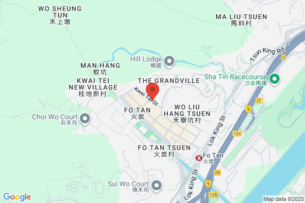 Tse Chan Construction Company