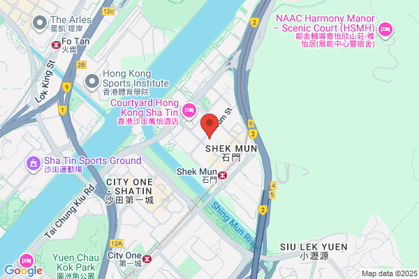 Singapore Telecommunication Ltd