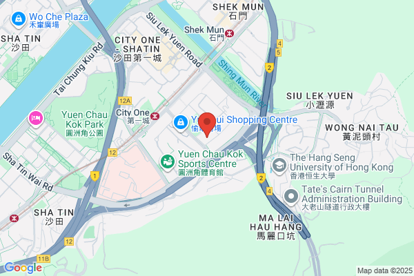 Chi Shing Metal