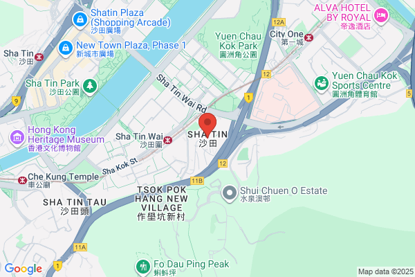 Tsang Chun Yip
