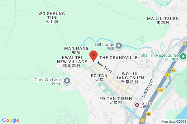 Tung Fung Precision Alloys Semi-Product (Hk) Co Ltd