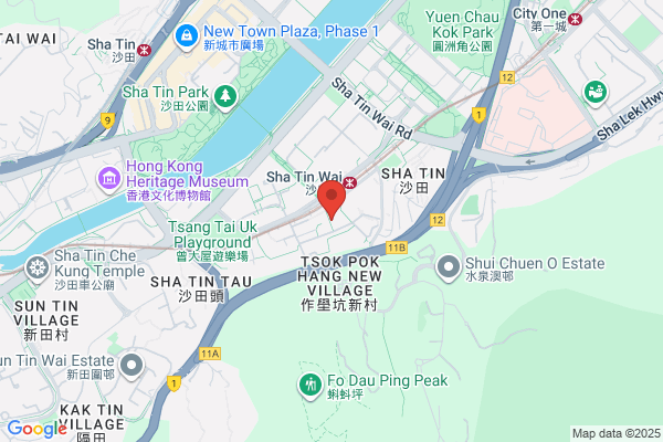 Chan Hung Fat
