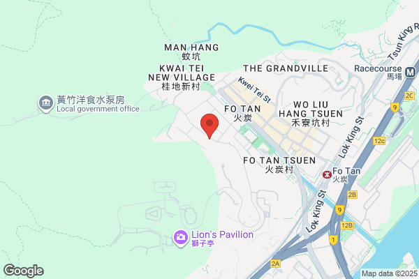 Ng Kam Ming